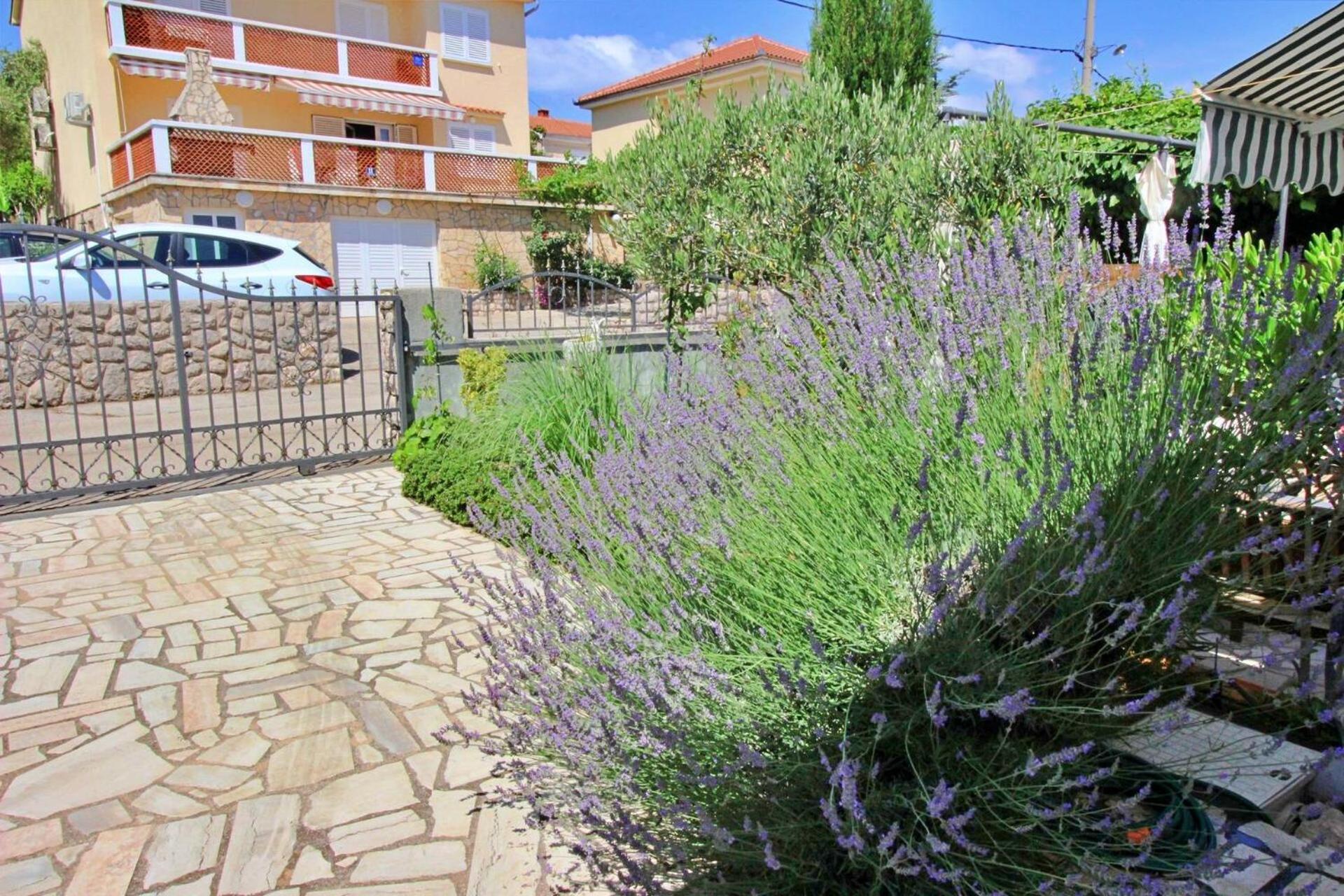 Apartment Renata Šilo Buitenkant foto